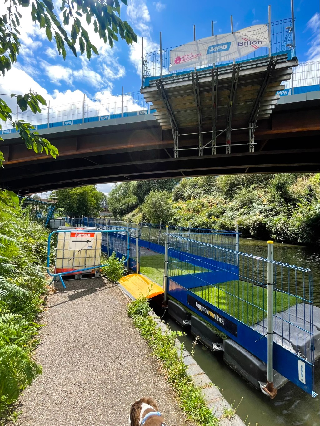Pontoon panic, Park Head paranoia and the Waterfront wobble: Day seven and still not starring in Canal of the Dead